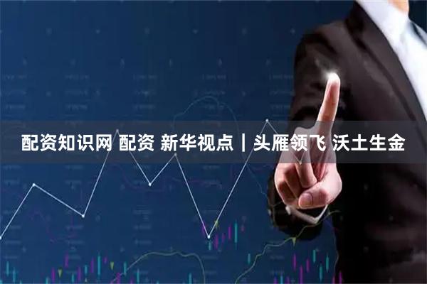 配资知识网 配资 新华视点｜头雁领飞 沃土生金